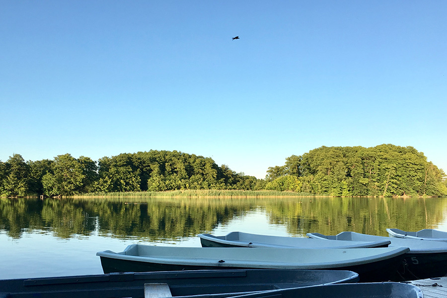 Ruderboote Verleih auf dem Nachbargrundstück im Sommer 