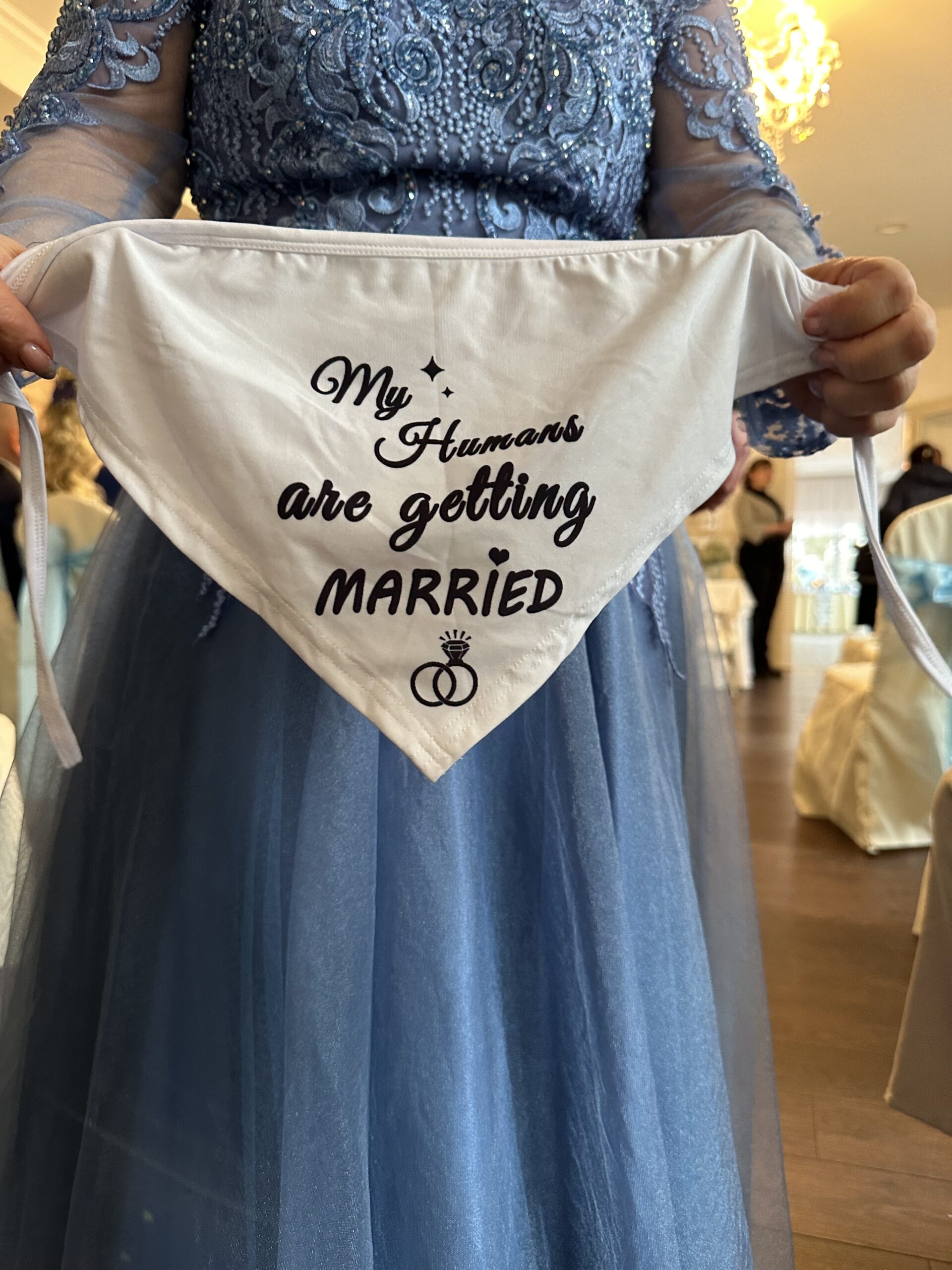 Hund Halstuch Hochzeit Das Halstuch trägt der Hund zur Hochzeit der Besitzer